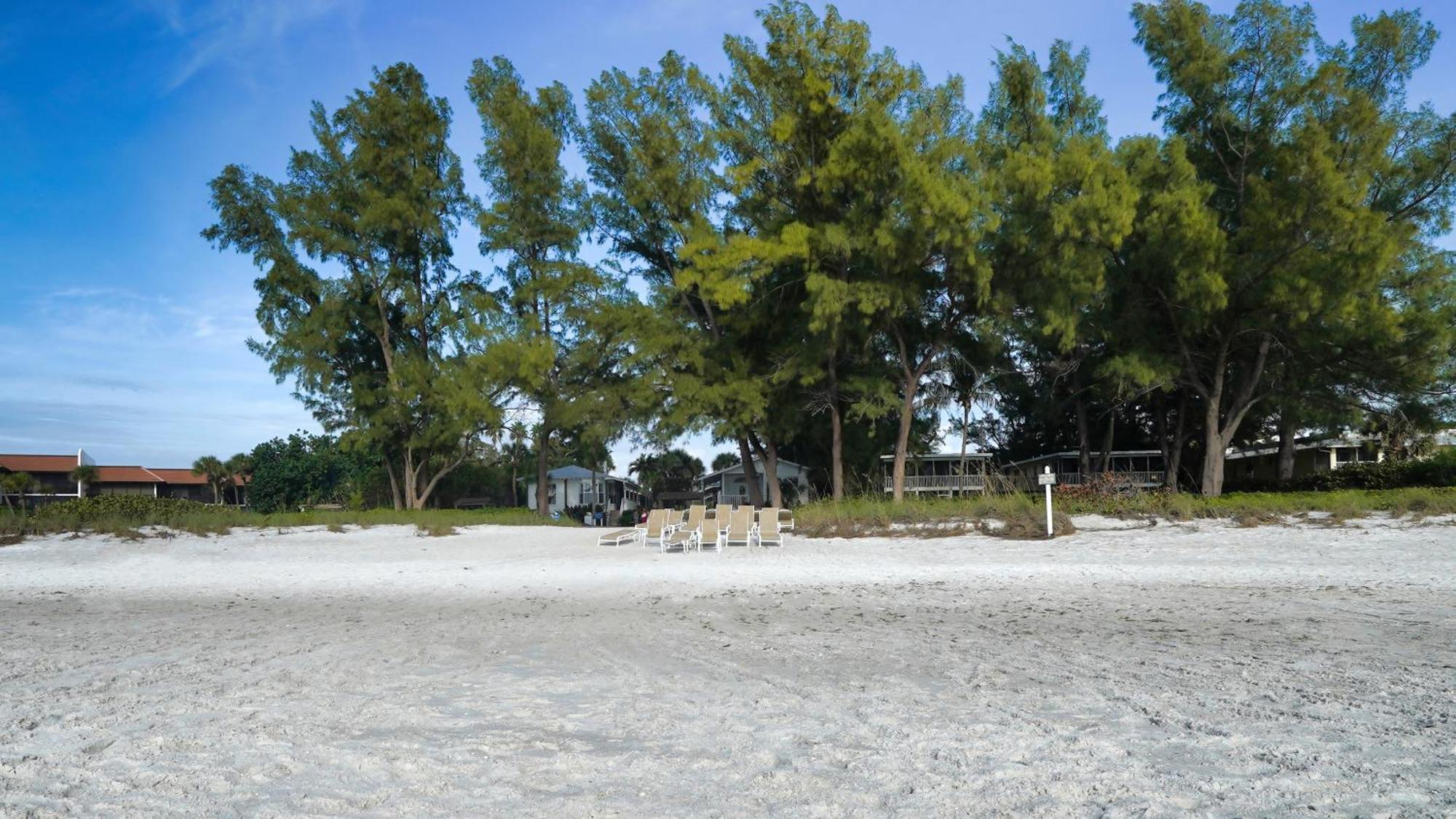 Little Gull Cottages Longboat Key Exteriör bild